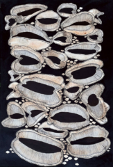 Lucy_Laino_Wallum_Banksia